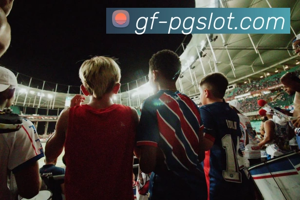 森林舞会官网服务体系